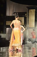 Model walk the ramp for Shane Falguni Show at Amby Valley India Bridal Week day 4 on 26th Sept 2011 (81).JPG